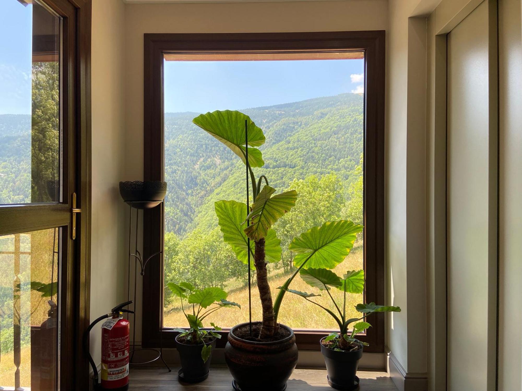 El Serrat De Tregura Vilallonga de Ter Exterior foto